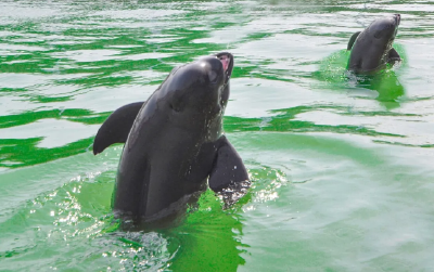 荆州两个先进典型荣获湖北改革奖！