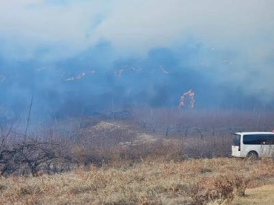 韩国突发大型山火