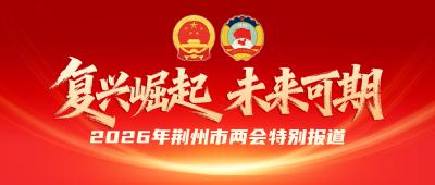 汪元程参加市六届人大五次会议沙市代表团审议