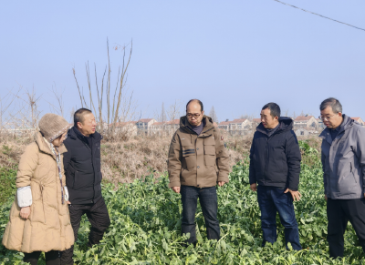 雪后专家下一线  指导油菜田管