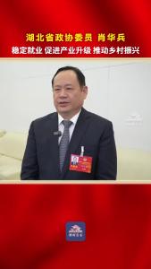 湖北省政协委员肖华兵：稳定就业 促进产业升级 推动乡村振兴！