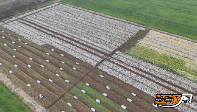 荆州石首：设施农业显成效 大棚蔬果四季丰