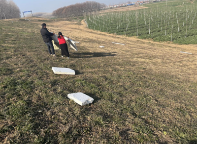 江陵河道分局：清理白色垃圾 筑牢生态屏障