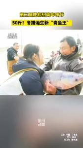 50斤！楚都纪南冬捕诞生新“青鱼王”！