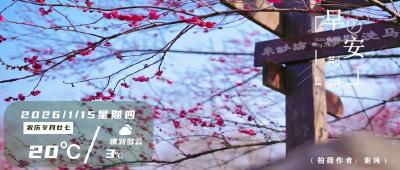 早安·荆州 | 环线列车来了！途经荆州