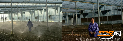 以稻浪为笺、以匠心为笔 | 记全国人大代表、“监利女粮王”毕利霞与她的农业合作社之路