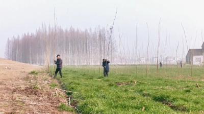 “生态哨兵” 守护江陵 66公里长江岸线