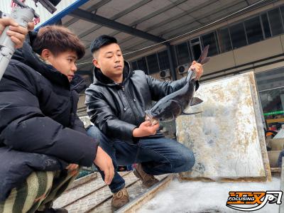 新春走基层丨张梁：鲜鱼“秒发” ！连通荆州鱼塘与全国餐桌