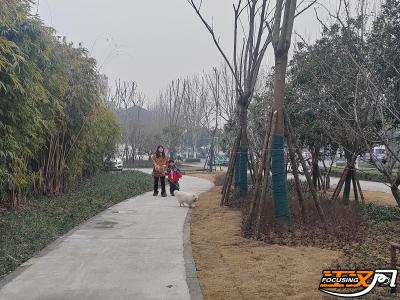 四季花开添彩古城东门 “止梆头”口袋公园建成开放