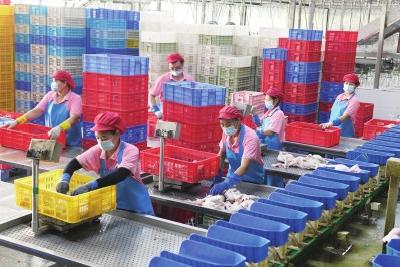 荆州：迎新春 年味浓