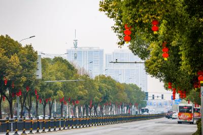 红红火火过大年：大红灯笼高挂  璀璨灯火迎新春