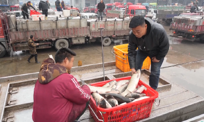 备年货，找好工，就在监利春风行动！