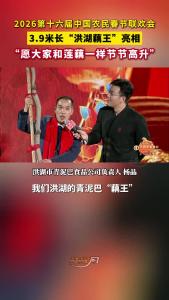 2026第十六届中国农民春节联欢会，3.9米长“洪湖藕王”亮相