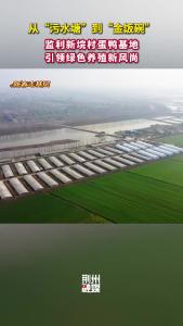 湖北荆州：从“污水塘”到“金饭碗” 监利新垸村蛋鸭基地 引领绿色养殖新风尚