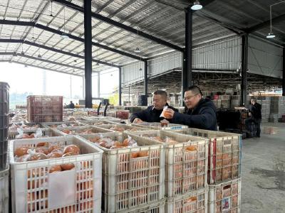 深耕9年，他每年将上亿松滋好物卖向全国