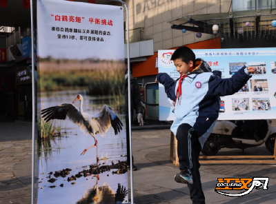 从互动体验到以案释法 世界湿地日宣传在洪湖这样“破圈”