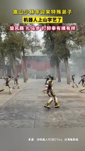 机器人上嵩山学艺 打醉拳、扎马步有模有样！