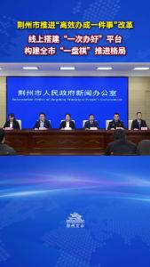 荆州市数据局党组书记、局长朱姝：线上搭建“一次办好”平台，构建全市“一盘棋”推进格局