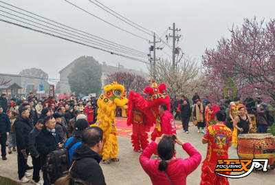荆州区恒荣梅园：梅香浸染楚韵 情缘邂逅新春