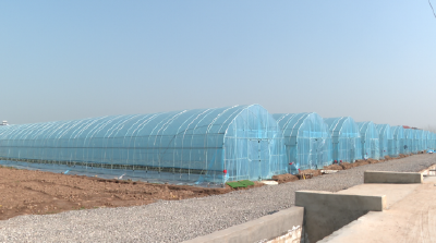 石首市笔架山街道国强村：产业治理双轮驱动 绘就城乡融合新画卷