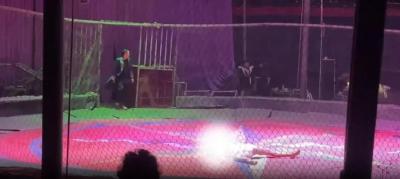 演出突发意外，女演员从高空摔落