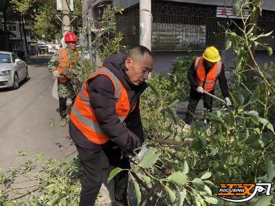 新春走基层 |  刘成文：巧手“梳妆”换来新春“绿景”