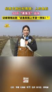 湖北荆州：50斤“青鱼王”破水而出，记者现场比划：和我上半身一样长！