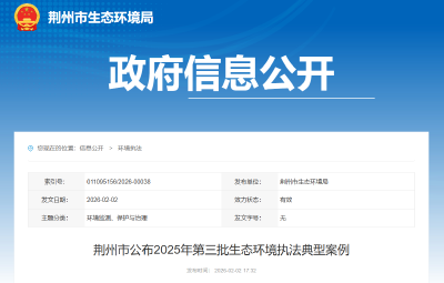 荆州市公布2025年第三批生态环境执法典型案例
