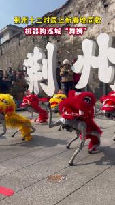 荆州十二时辰上新春晚同款，机器狗巡城“舞狮”