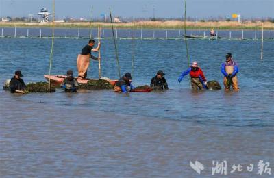 荆州这里，收到10万+好评！