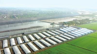 湖北荆州：向绿而行 端稳“金饭碗”