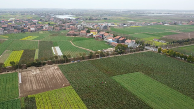 返乡创业在江陵丨李阳返乡“带货”记