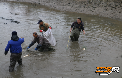江陵县三马湖社区万新队：11户居民喜分“年鱼”