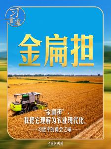 习近平的两会之喻｜“金扁担”，我把它理解为农业现代化