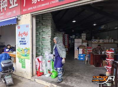 荆州农资大市场：人勤春来早 备耕提前做