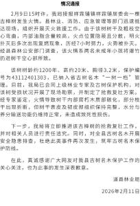 两小孩扔爆竹致1200年古树起火，官方通报