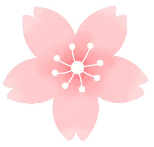 2026武汉赏樱预报发布！最佳观赏地点和时间在此