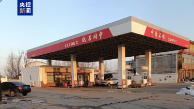 “中园石化”被立案调查