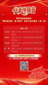 预告丨明天见！四位在荆全国人大代表，带回这些好声音