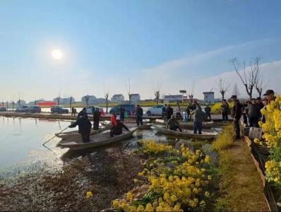 在荆州“抢鲜”上市，今年价格怎么样？