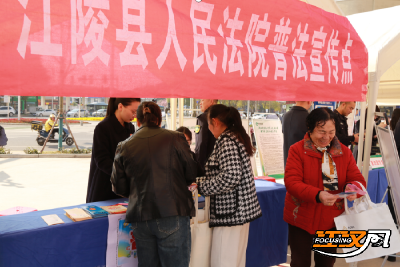 江陵法院：普法护权守民心 志愿创文践使命