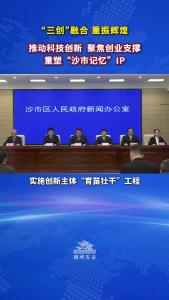 中共荆州市沙市区委常委、沙市区人民政府常务副区长周晓：推动科技创新、聚焦创业支撑，重塑“沙市记忆”IP！