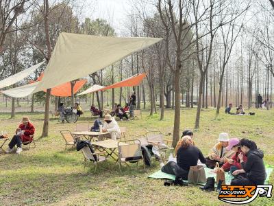 樱花树下邂逅“楚风侠韵”  长湖樱花谷系列活动拉开帷幕