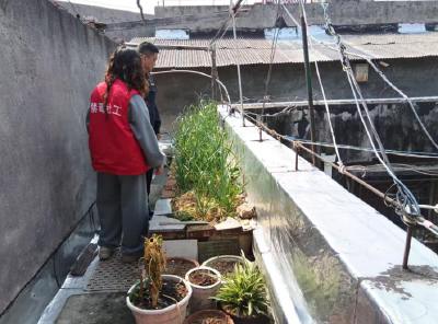 守护无毒家园 沙市区文化宫社区开展禁种铲毒专项排查行动