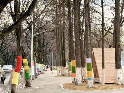 荆州人的“梦中情路”，大变样了！