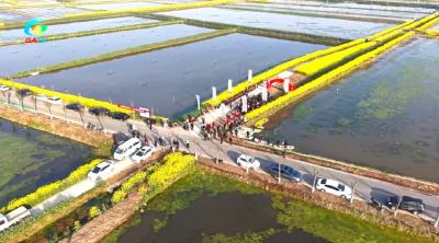 公安这里14万亩小龙虾开捕上市！