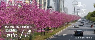 早安·荆州丨荆州这条百年老街即将“上新”