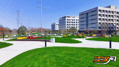 绿润经开绘新景  荆州经开区持续提升城市生态品质打造宜居新家园