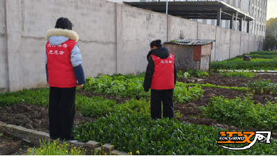 荆州区九阳社区：守护一方净土 禁种铲毒在行动