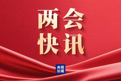 十四届全国人大四次会议表决通过关于政府工作报告的决议